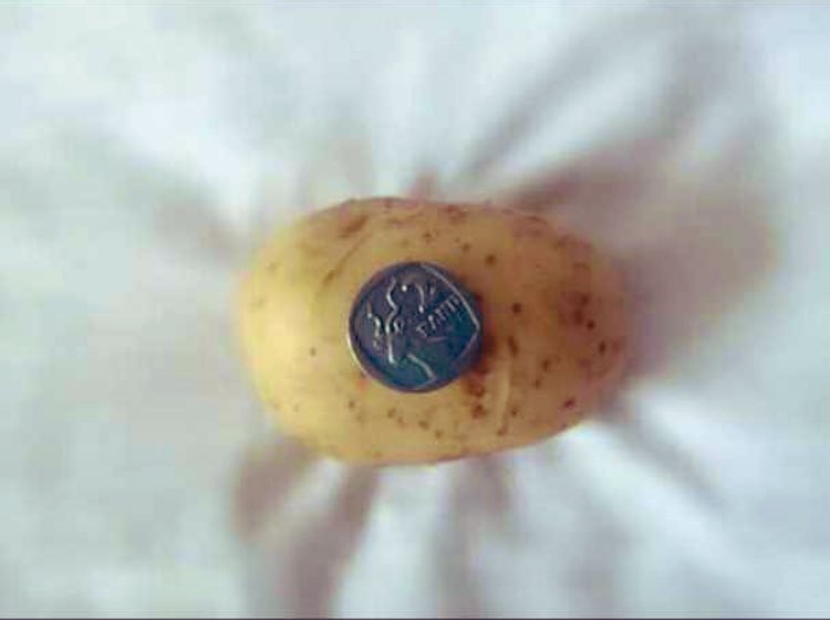 sithole_londa's tweet image. Our objective