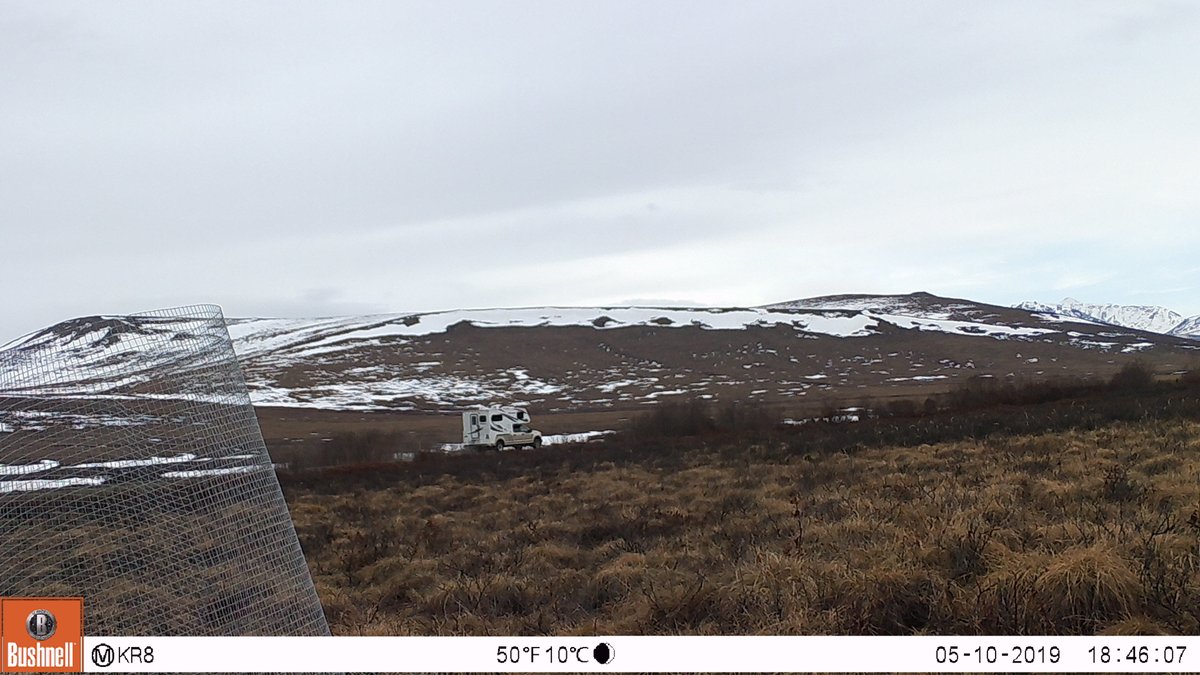 KirstenAReid's tweet photo. So from August to June the camera faced the highway and was triggered every.single.time a vehicle passed by...
(sidenote: if anyone wants info on #DempsterHighway traffic, I've got a great dataset for you) https://t.co/Ll7rmbcXj1