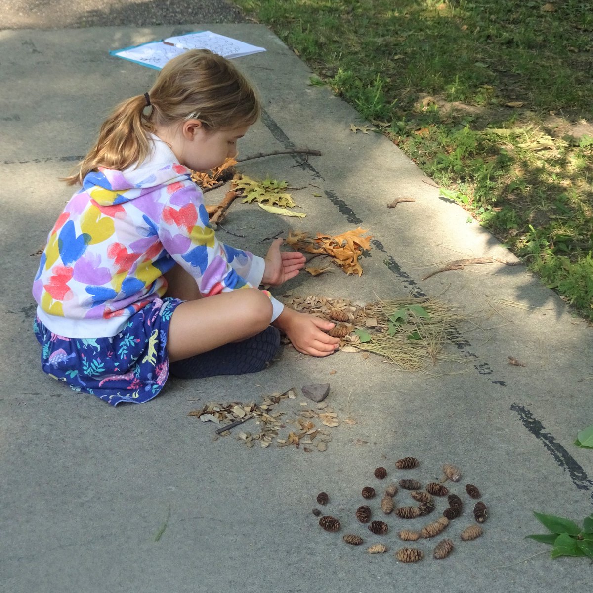 Summer Camp Spotlight: Urban Naturalists. Let's visit nearby parks and green spaces, nature journals in hand, to observe plants and animals thriving in our urban environment. Full &amp; Half Day options, Grades PreK - 1 &amp; 2 - 6. 

Sign up here: bit.ly/Summer2020Full…

#summerartcamp
