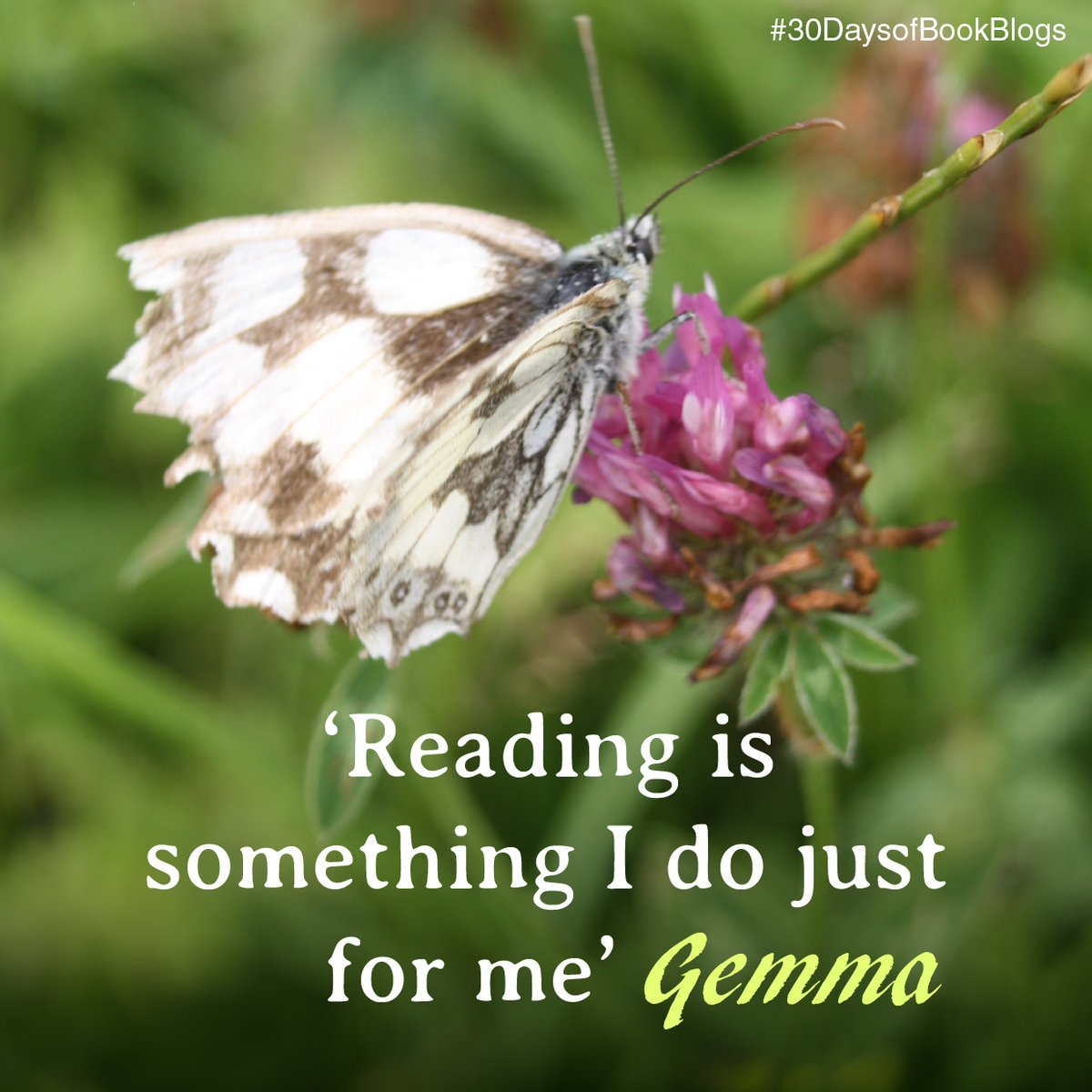 lornagrayillus's tweet image. Finally, Gemma @book_cosy says: 'Simply put, reading is something I do just for me.'

What a wonderful summary of what reading can mean in a busy life! Thank you Gemma, you've been a fabulous guest today ❤️ on #30DaysofBookBlogs #WritingCommunity