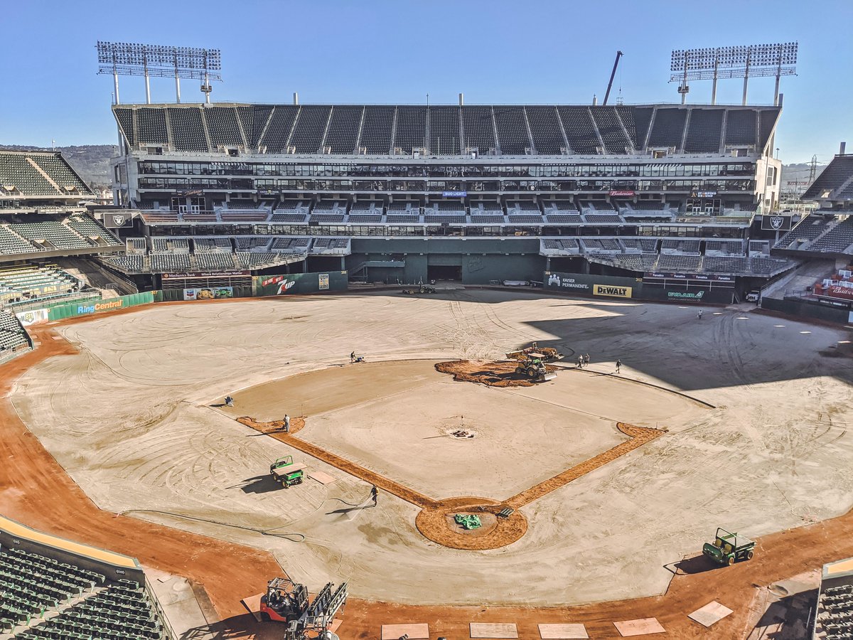 Athletics's tweet image. Meanwhile in Oakland.
#RootedInOakland