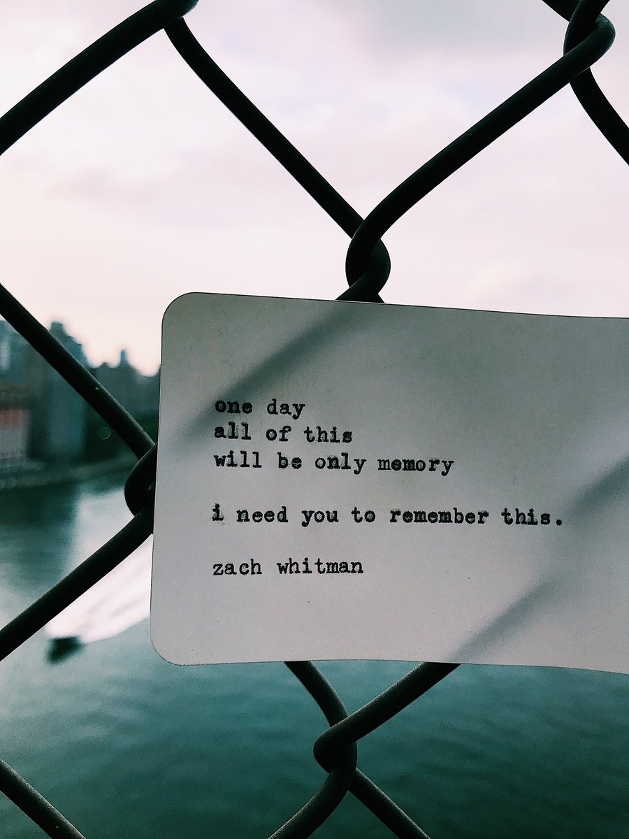 zach whitman tweet media