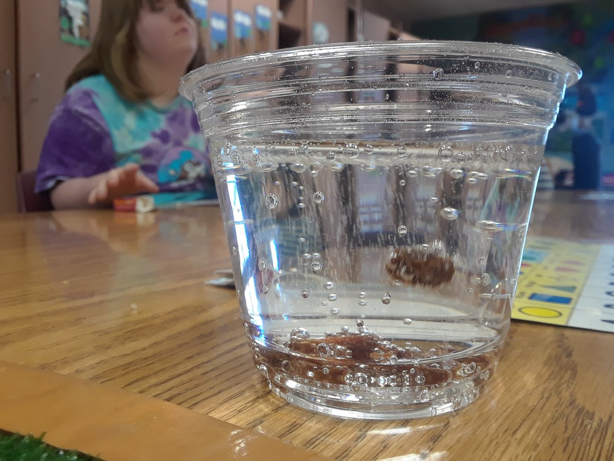 TJHS_Tara's tweet photo. Science experiment + communication board- Can raisins dance??? https://t.co/Fao0tMIbWi