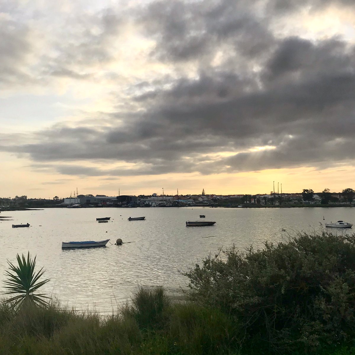green_hero_info's tweet photo. Observe, reflect and become a little wiser every day✌🏽#portugal #margemsul #riotejo #tagusriver #lisboa #lisbonne #lisbon #lisbonsouthbay #sunset #sunsetslovers #sunsetsaroundtheworld #observe #reflect #becomewise #wisdom #goodvibes #positivity #observenature #naturephotography https://t.co/VIBuMXo6D1