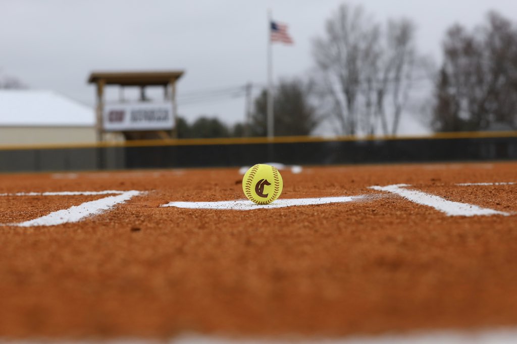 LadyTigerSoftball tweet media