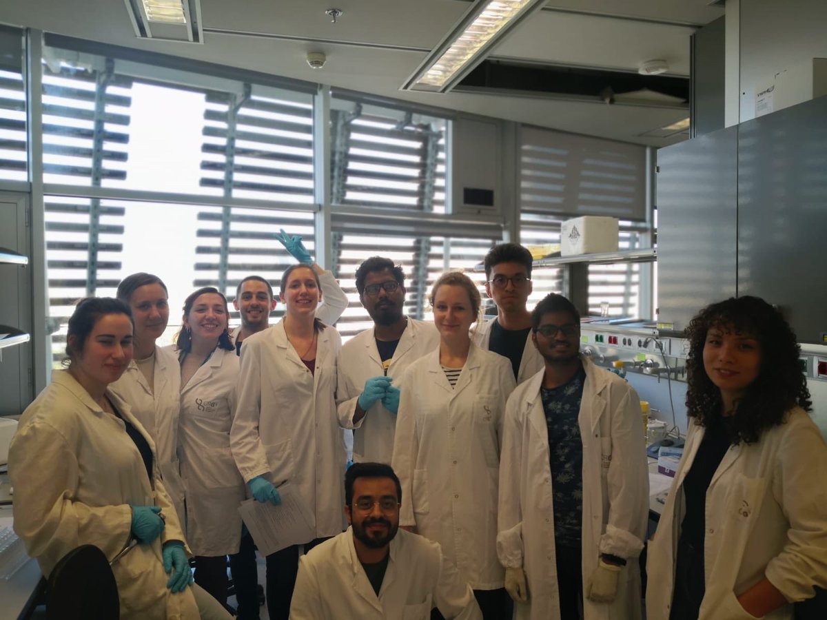 ChromDesign's tweet photo. Experimenting with the protocol HI-C.
#ChromDesign #SciCommWinterSchool https://t.co/3yIdGyqHgx