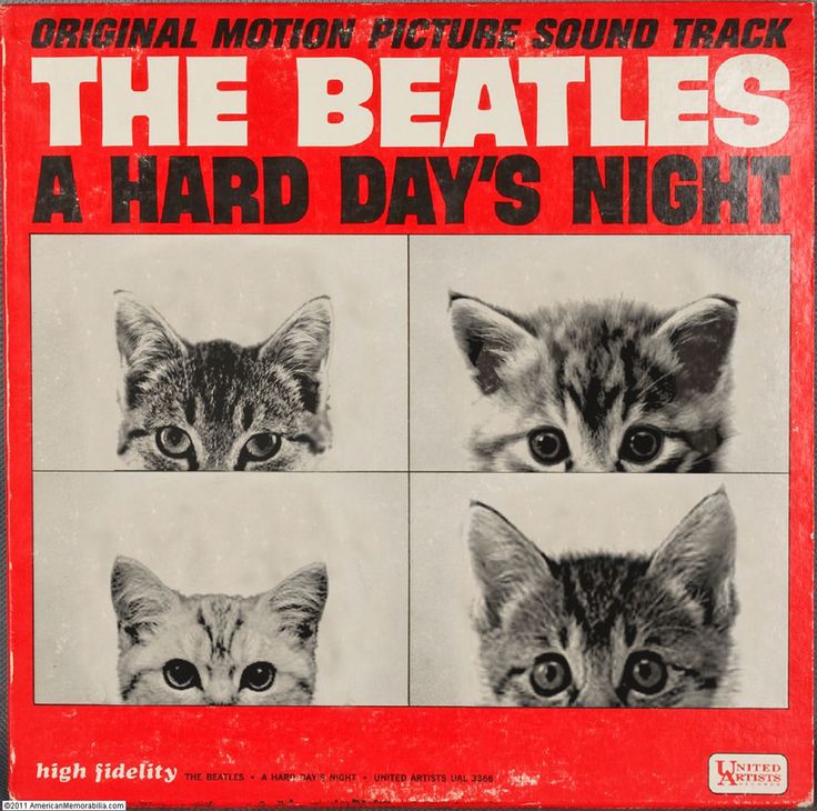 RoadTabby's tweet photo. 🎶It's been a hard day's night, and I've been working like. . . a cat🎶

Credit: https://t.co/WnOT4UoHvQ

#TheBeatles #Beatles #Cats #BeatlesCats #AHardDaysNight https://t.co/SSOacVUS2n