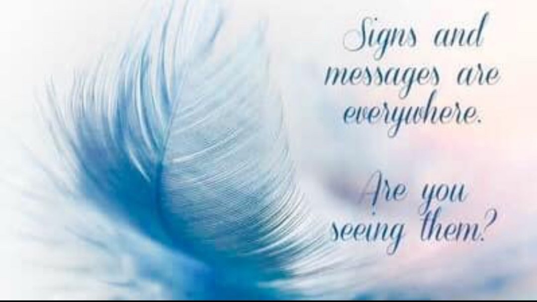 Medium Dawn Elizabeth tweet media