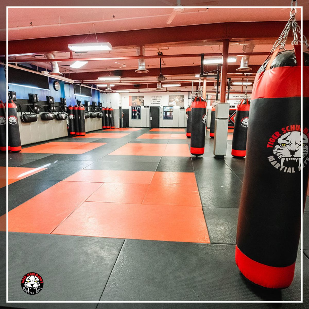 Thanks, Dominic!
"I’ve been a member of Tiger Schulmann’s Martial Arts for almost 10 years &amp; I can say without a doubt it is one of the best choices I’ve ever made in my life. The support &amp; guidance you’ll receive working is unlike any other gym or training facility out there."