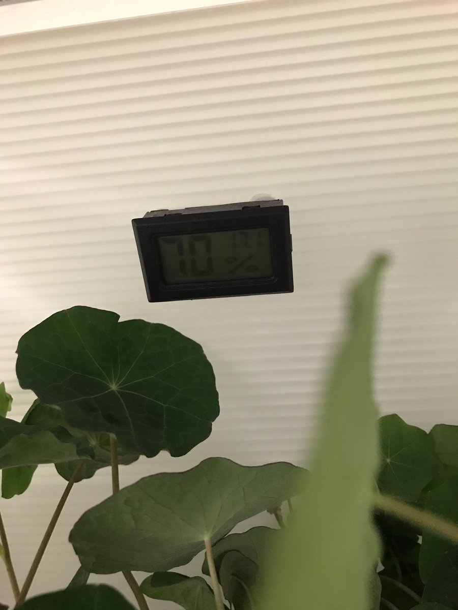 killianfc's tweet photo. @killianfc @FairchdChallnge @GrowBeyondEarth lots of tender new growth after continuous harvest compared to plants not trimmed . https://t.co/JeEkwBKYM7