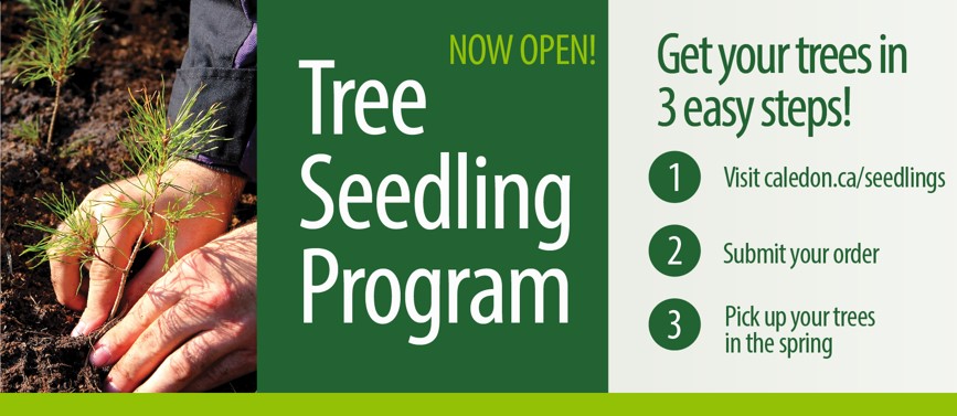 TownOfCaledon's tweet photo. In just 3 easy steps, you can place your #treeseedling order - ‘wood’ you believe it’s that easy?
Help tackle #climatechange & order today: https://t.co/MlJ1oPet29 https://t.co/AhGjSSirVM