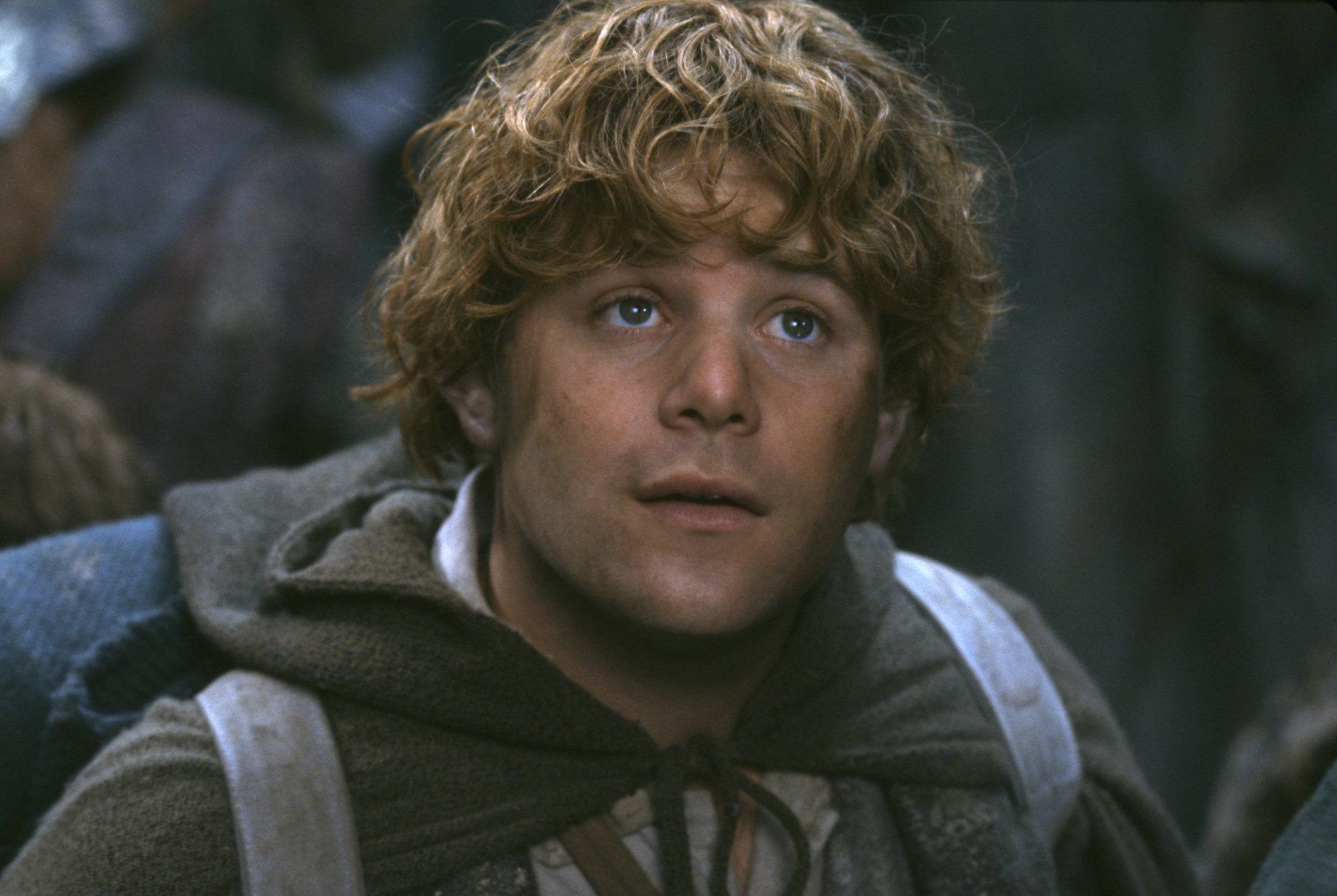 Here s to the best friend anyone could ask for. Happy Birthday to our Samwise Gamgee, Sean Astin! 