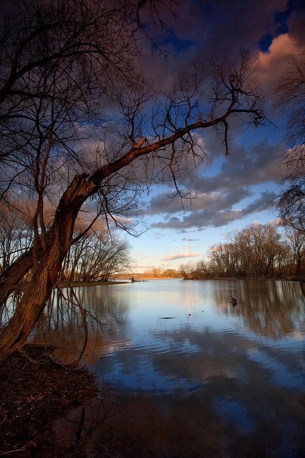 elispjs's tweet image. Neil Shapiro photo bayou