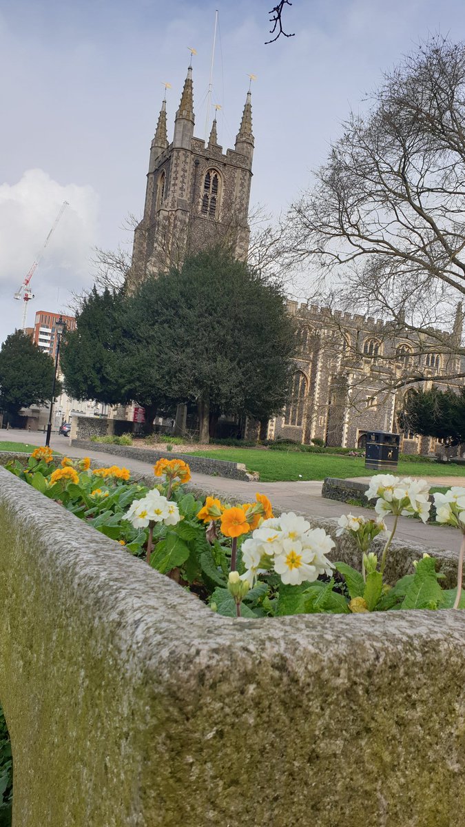 fentinic's tweet photo. #CroydonMinster #primula #lunchtimewalk #winter #animaltrough #drinkingtrough #waterfountain https://t.co/EXcdaNIcgz