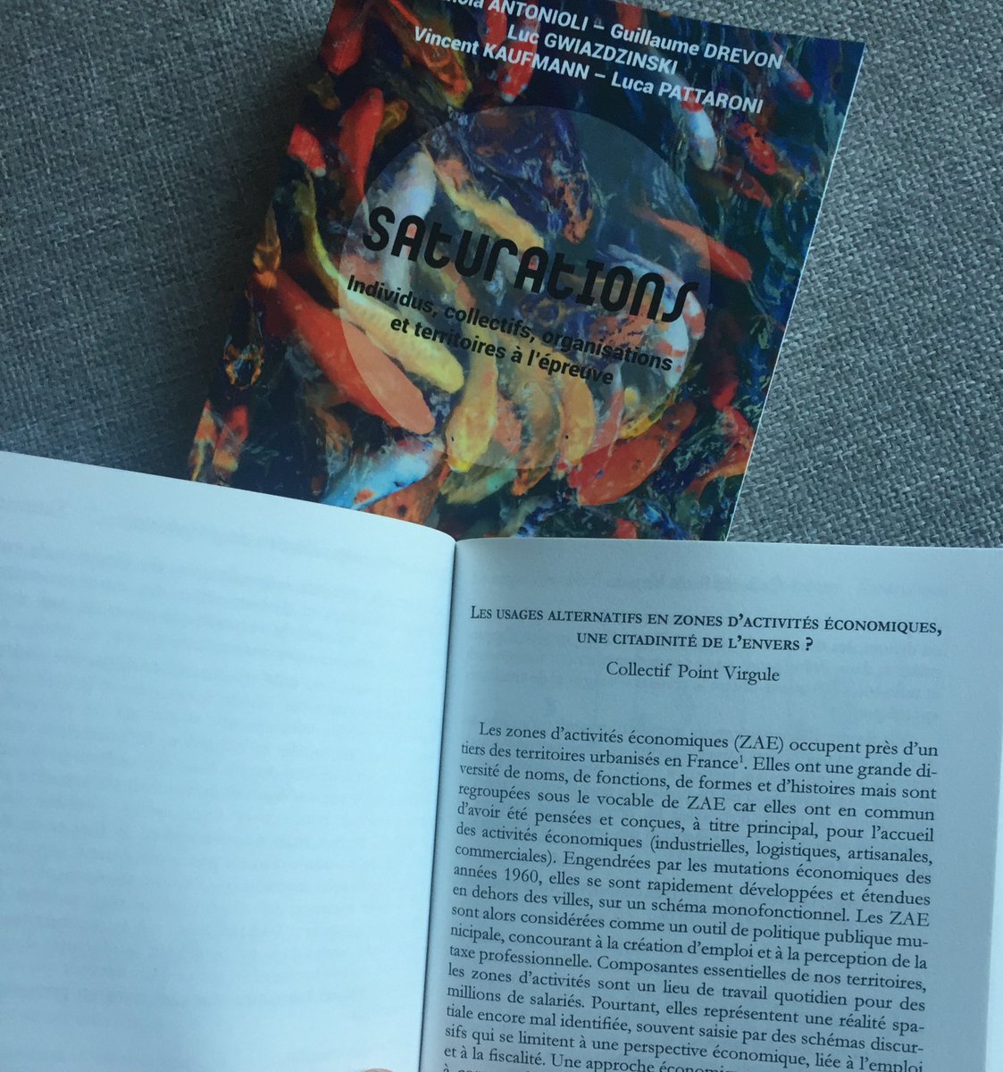 _Point_Virgule's tweet image. 📚Très heureux d'annoncer la sortie de l'ouvrage #Saturations auquel nous avons contribué avec un article sur les usages alternatifs dans les zones d'activités économiques #zae ✍️ Préfacé par Yves Citton, avec @Gwiazdzinski @VincentKaufmann @G_Drevon... 📖elyascop.fr/catalogue/coll…