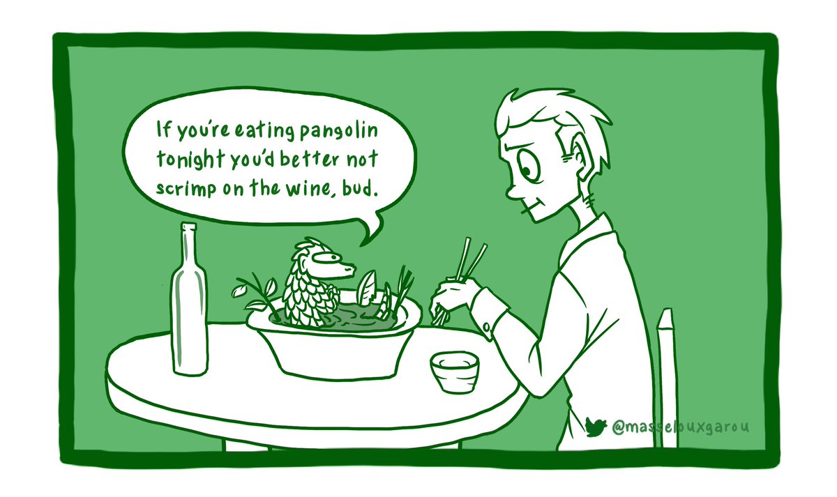 masselouxgarou's tweet photo. #PangolinFunFact Day 24: Trade of pangolin is fueled by demand for their scales for medical use, as well as for their meat which is considered a delicacy and popularly consumed as a show of wealth and status across much of East and SouthEast Asia. #WorldPangolinDay https://t.co/1bZncQ44RI