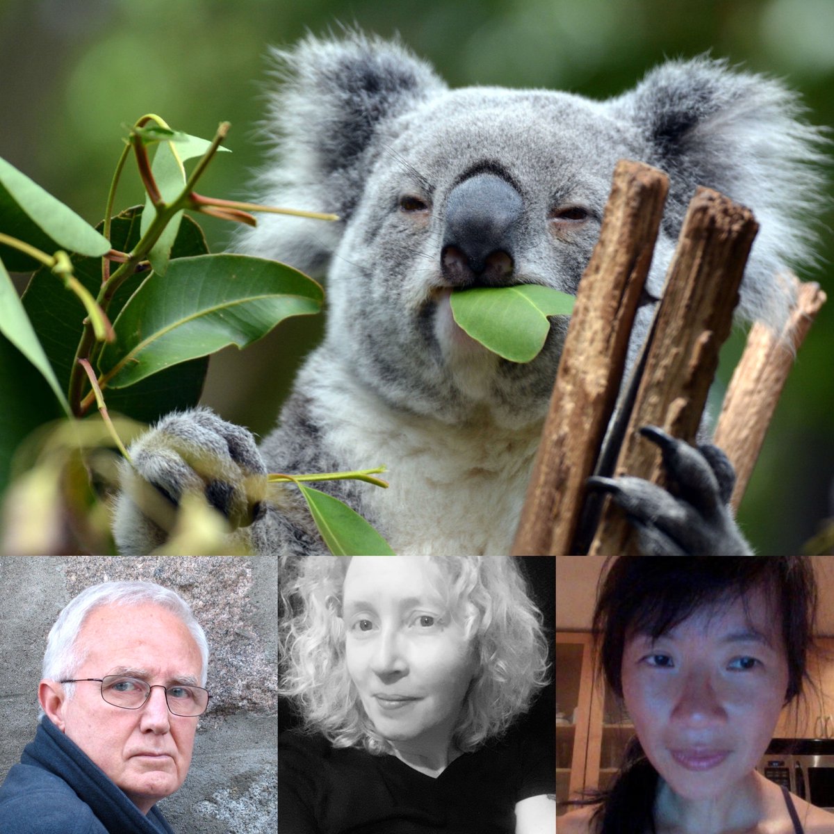 rbwood's tweet photo. Episode 93 of the #WordCountPodcast is available NOW for your #FREE listening pleasure! Three original stories by @carver22, @MariaHaskins, and @edenbaylee await! Host: @rbwood. #Flashfiction https://t.co/iwpLSNDOHm https://t.co/UluYtrkamu