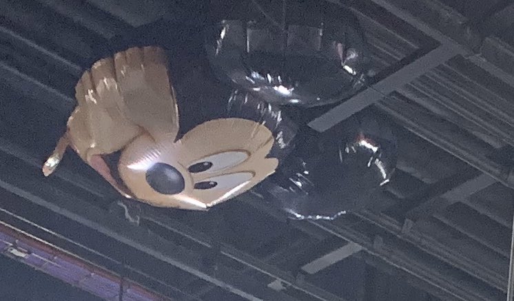 OPIA Collective tweet media