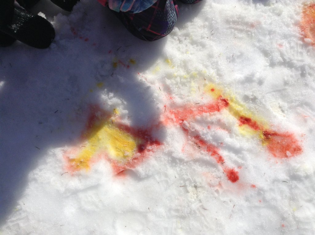 Fun in the sun. Painting outside with a white canvas. #outdoorlearning #tldsblearns #tldsbfdk #fdk