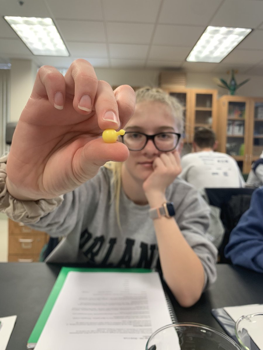 JackHigginbot11's tweet photo. It helps a lot to use our hands (enzyme) and these beads (substrate) in order to see how enzymes function! @UNKBiol106AC #106Week7ACS20 https://t.co/rs6vhlX334