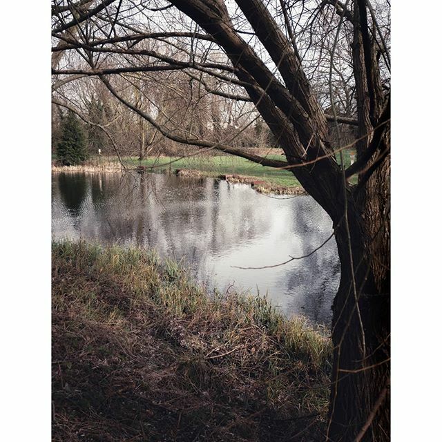 omantle_photo's tweet photo. Pond in Queen Elizabeth park shot from the opposite side to my previous post.

Taken with @lumixuk GX80 + 12-32mm

Prints ➡️ https://t.co/8tUMMI6tsv

I have also started a blog! Check it out.
https://t.co/oWmN6zoWk9

#pondlife #pondsofinstagram #granth… https://t.co/aW2Y0fy543 https://t.co/jtIPUVwXte