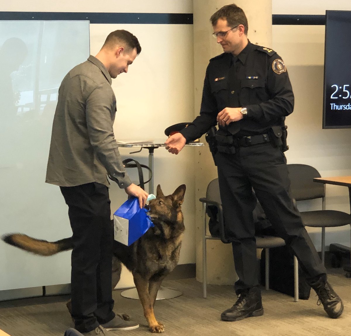 GuelphPolice's tweet photo. On February 20th, Sergeant Ross Keller, Constable Greg MacArthur &amp; Police Service Dog General were honoured at a #GuelphPoliceService Board meeting. Enjoy your retirement SGT Keller &amp; PSD General! Good luck in Woodstock CST MacArthur! Thank you all for your service to #Guelph! https://t.co/ur5TxtNNxx
