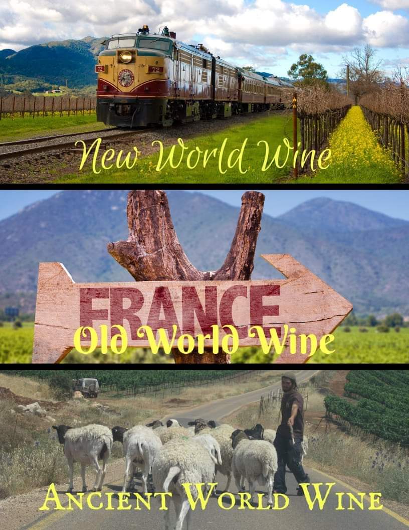 IsraWineAgency's tweet photo. #wine #Israel #france #California

@ColangeloPR https://t.co/1V5eeopBw6