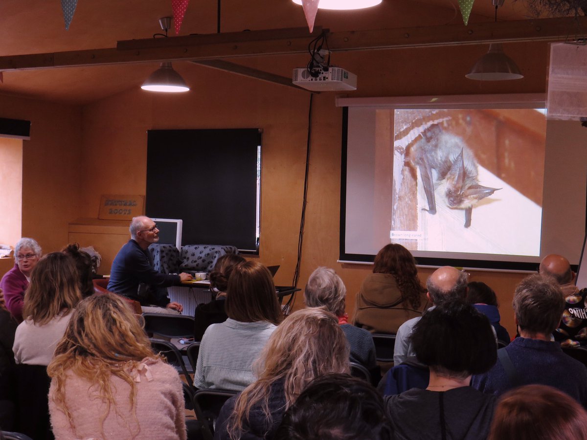 LondonBatGroup's tweet image. We had a fab talk about bat care from London based carers Joan and Roger on Saturday. It included meeting their wonderful education bats! Thank you to David at @rootshoot for the pictures! 🦇❤️ #londonbats #londonbatgroup #batcare
