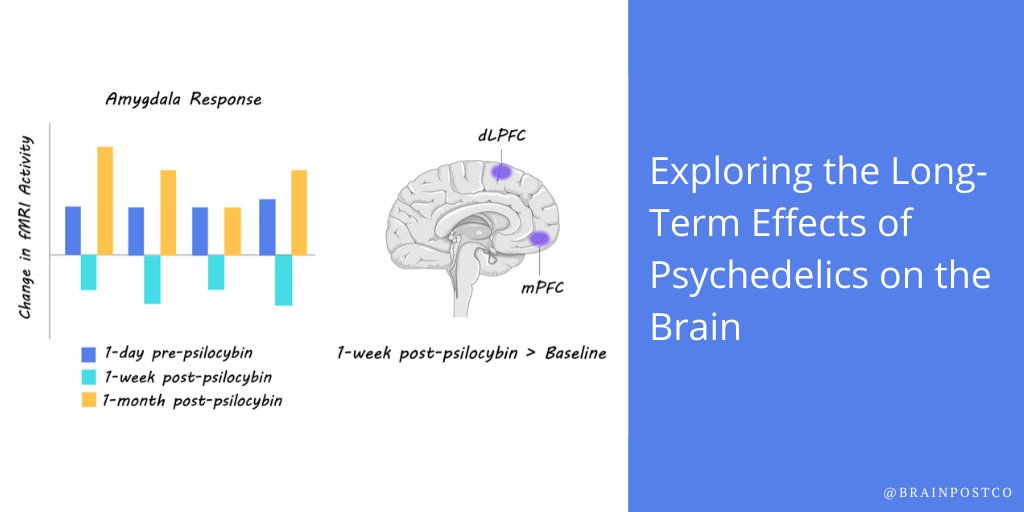 BrainPost (@brainpostco) on Twitter photo Exploring the Long-Term Effects of #Psychedelics on the #Brain
New this week in <a href="/SciReports/">Scientific Reports</a>
<a href="/brainpostco/">BrainPost</a>'s scientific summary by <a href="/floramoujaes/">Flora Moujaes</a> :
brainpost.co/weekly-brainpo… Exploring the Long-Term Effects of #Psychedelics on the #Brain
New this week in <a href="/SciReports/">Scientific Reports</a>
<a href="/brainpostco/">BrainPost</a>'s scientific summary by <a href="/floramoujaes/">Flora Moujaes</a> :
brainpost.co/weekly-brainpo…