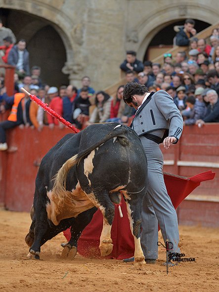 ignacio perelétegui tweet media