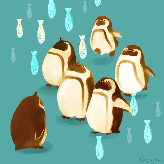 ごはんの時間。#ペンギン #ケープペンギン #penguin #ごはん 