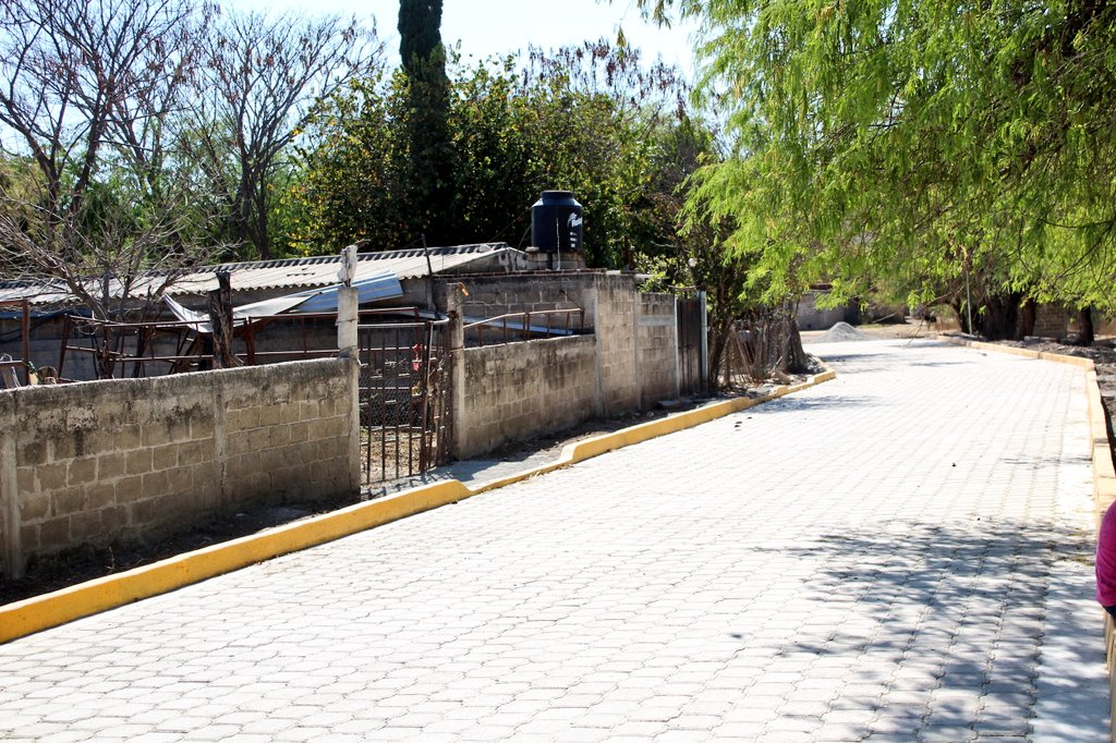ManuelIGil's tweet photo. El lunes en compañía de mi esposa la presidenta del #DIFMunicipal y el inspector de #ElAstillero, realizamos el corte de listón para inaugurar el adoquinado de la calle Cuauhtémoc en dicha localidad, con la finalidad de mejorar las condiciones de vida de los habitantes.🤝🏼 👷🏻‍♂ https://t.co/SQ9Jzxavgh