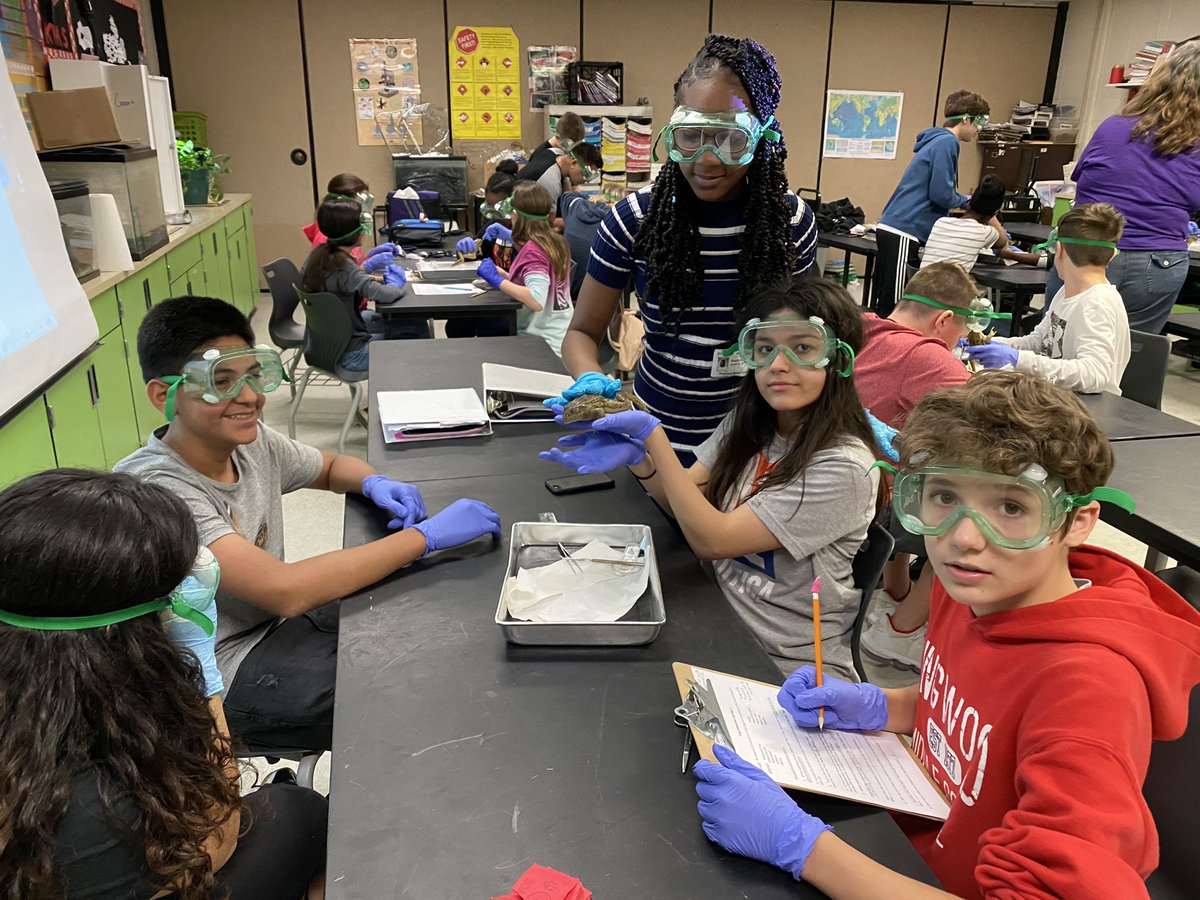 HumbleISD_KMS's tweet image. Students were finding diameter of the tympanic membrane while dissecting frogs. #MathinScience #KMSCougarPride