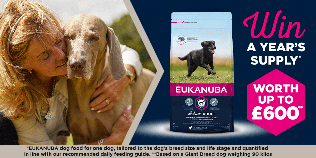 Crufts tweet media