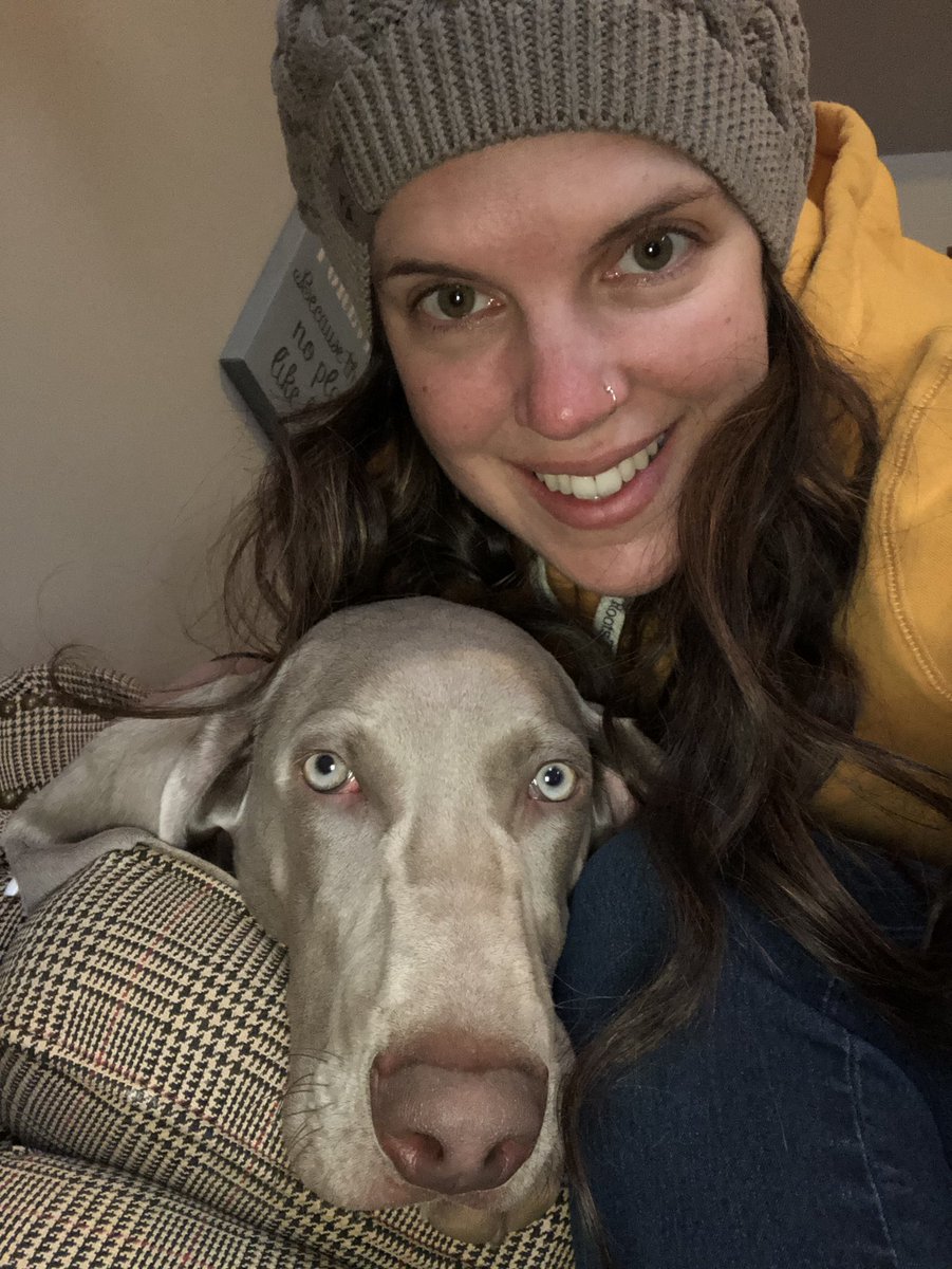evmamanikki's tweet photo. Spent my day working and cuddling this meatball.  Henry is the BEST puppy. So chill! The only thing I don’t like are his accidents in the house. Aside from that he’s an old man dog and I love it! #puppy #weimaraner #justababy #socuddly #tuesday https://t.co/CwlnAH0l5T