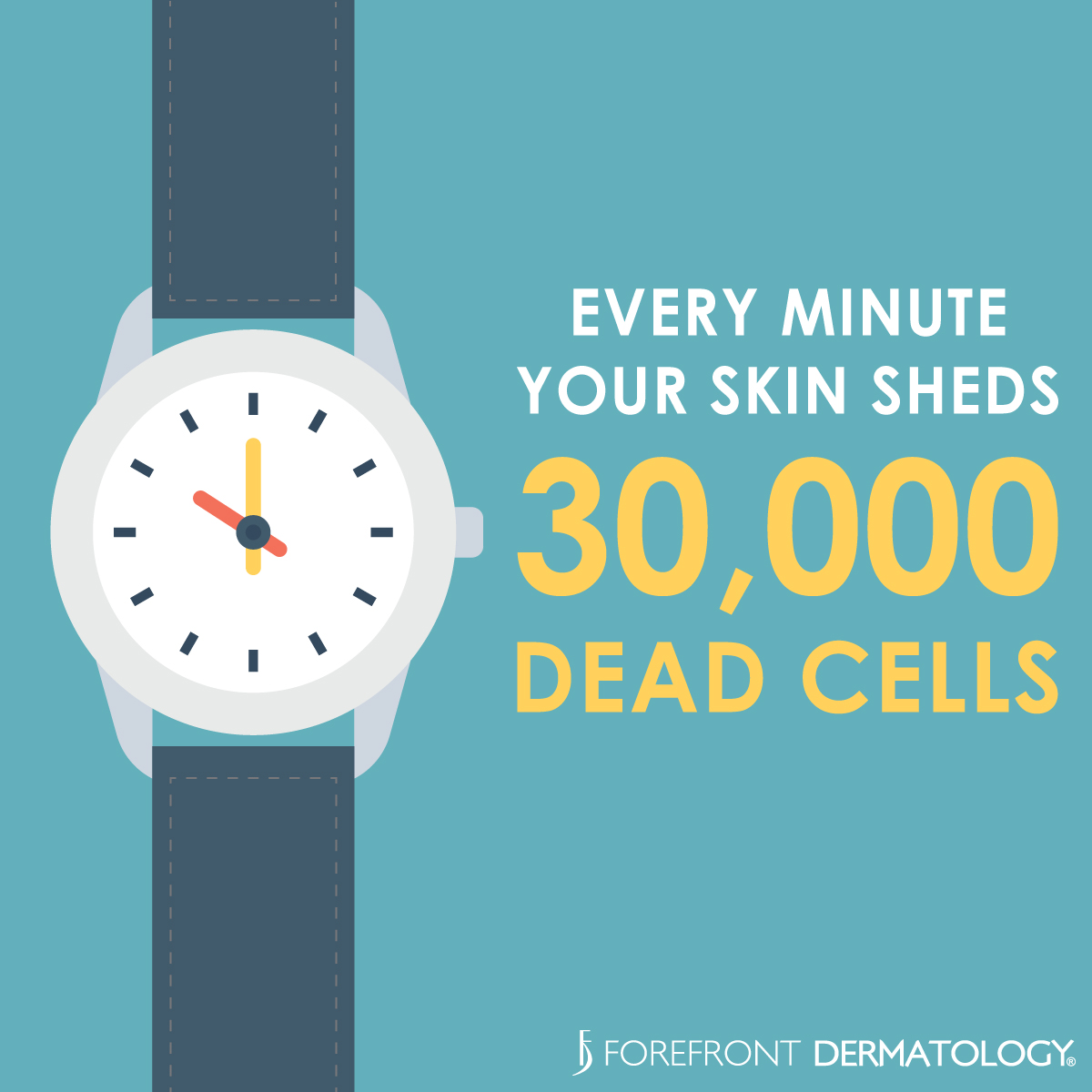 forefrontcarmel's tweet photo. Did you know every minute your skin sheds 30,000 dead cells #FunFactTuesday https://t.co/GlDrvAQVoZ