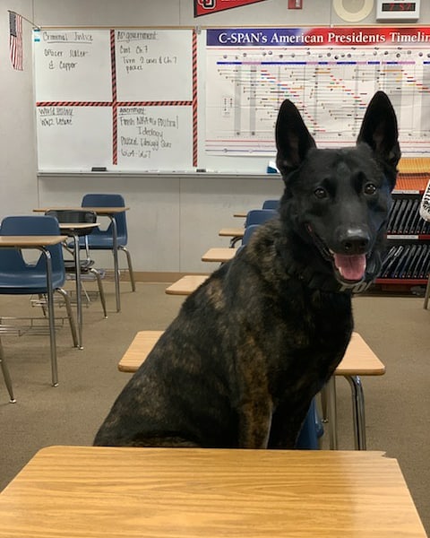GaltPolice's tweet photo. K9 Officer Slater and K9 Copper made a special appearance and gave a K9 demonstration to the 11th and 12th grade Criminal Justice classes at GHS today.

The students were very intrigued and loved their special visit from our #K9Unit. https://t.co/HgxcjjZmLK