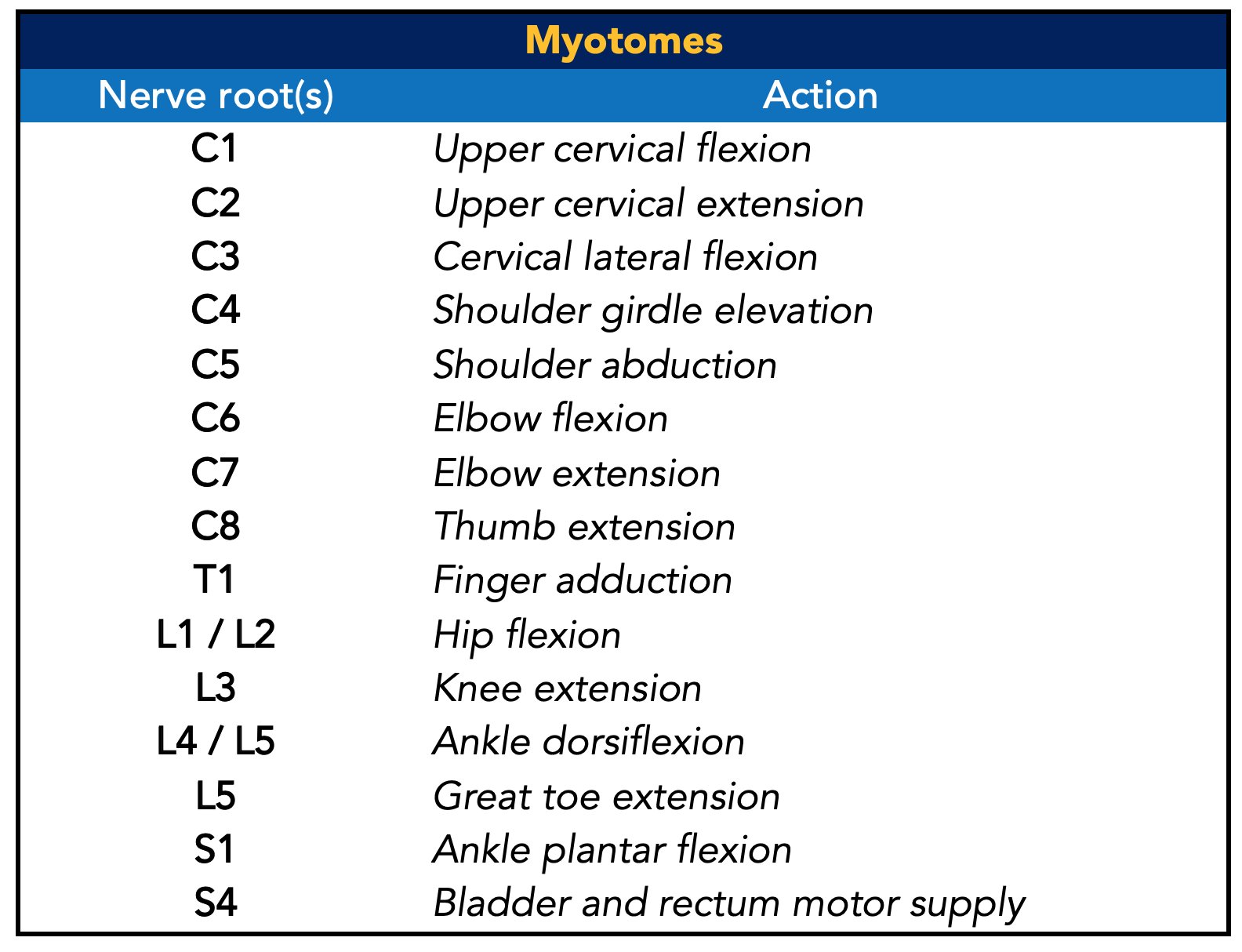 Myotomes Upper Limb myotomes-upper-limb