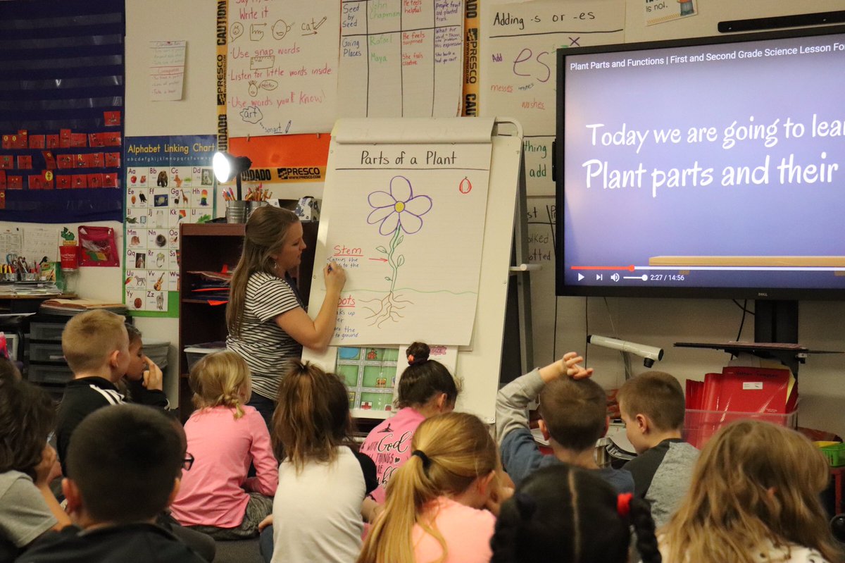 DoddElementary's tweet photo. After working together to learn about the different parts of a plant, Mrs. Kuhn’s students worked in groups to identify the different parts on a plant of their own! 🌱 #learninglikeabobcat #collaborativelearning https://t.co/vau7bqgyhE