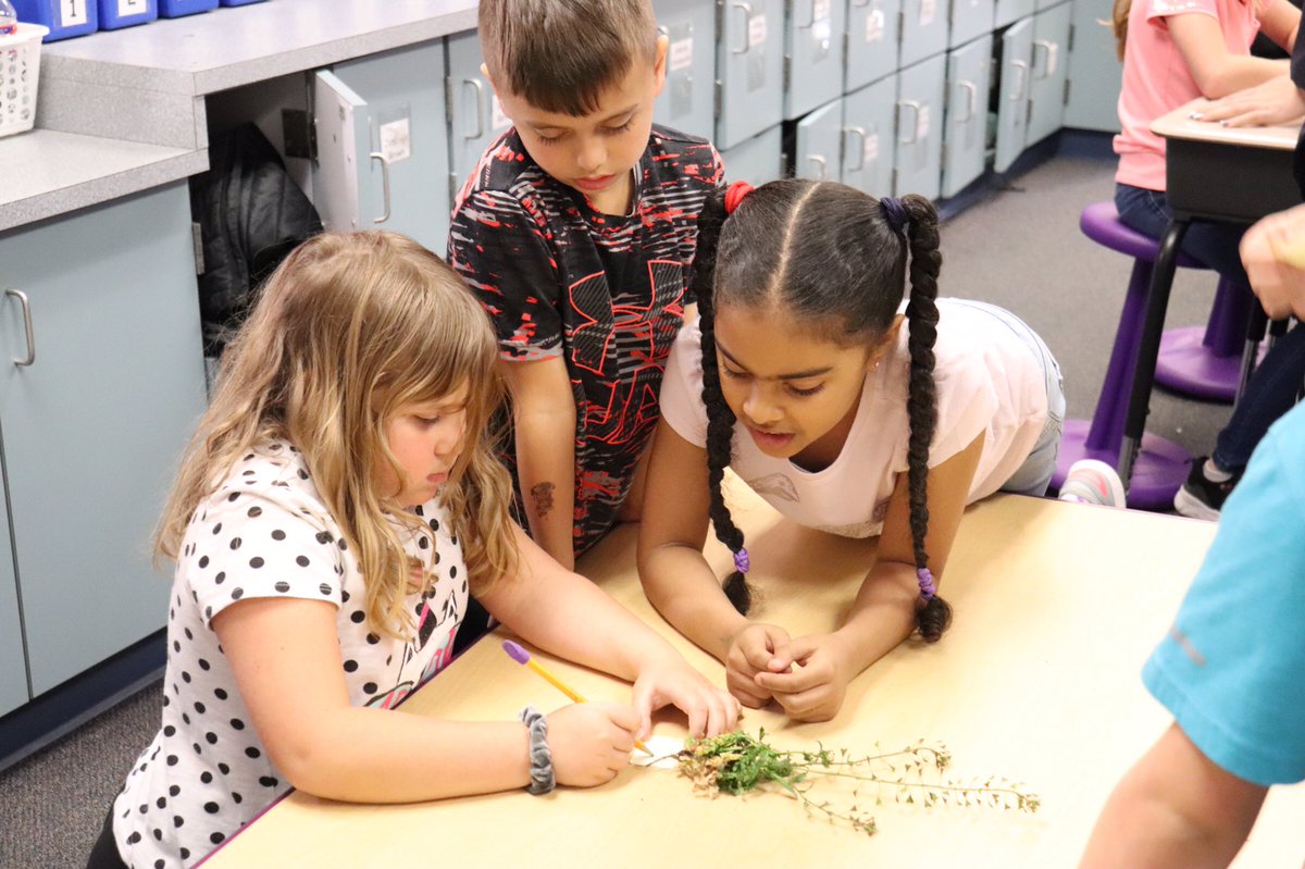 DoddElementary's tweet photo. After working together to learn about the different parts of a plant, Mrs. Kuhn’s students worked in groups to identify the different parts on a plant of their own! 🌱 #learninglikeabobcat #collaborativelearning https://t.co/vau7bqgyhE