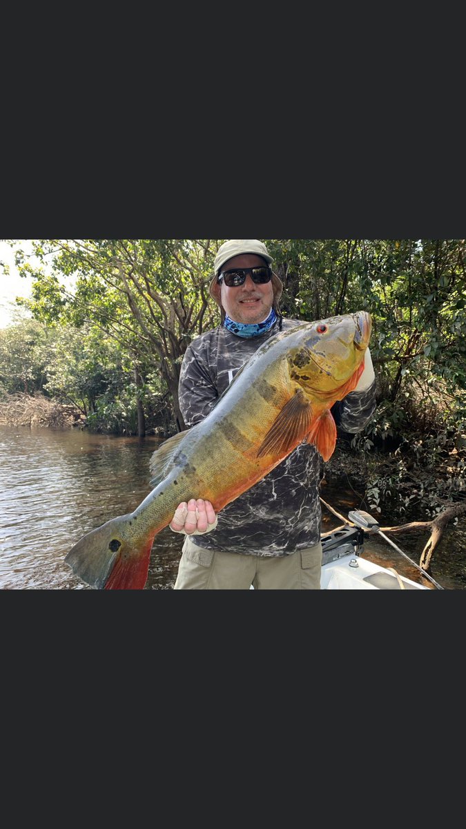 RonSpeedJr's tweet image. 