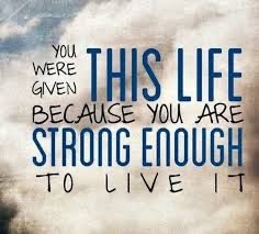 Transfo54070845's tweet photo. You are strong enough to handle anything life throws at you!
#cope #mascadores #copenhagen #fumo #picoftheday #art #lectura #electro #hiphop #rap #palabras #hogar #countrylife #somosmas #elsembrador #ewtn #mariavision #montemaria #radiomaria #coches #street #trenes #avion https://t.co/LTC2OTJmKs