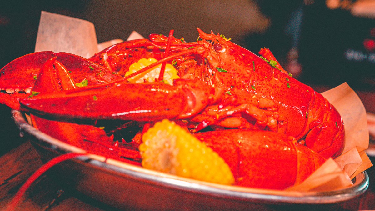 HT_Grill's tweet image. ⁞⁝✦⁞⁚𖣊 CELEBRATE MARDI GRAS AT H.T. GRILL Today! FAT Tuesday | Feb 25 All Day LOBSTER, CAJUN JAMBALAYA or NEW ORLEANS GUMBO $18 Book Now on Resy 310 791 4849  ☙🌊🔥🍽️🥂❧  📸 @ryanfranklinlang @ntaki_chef