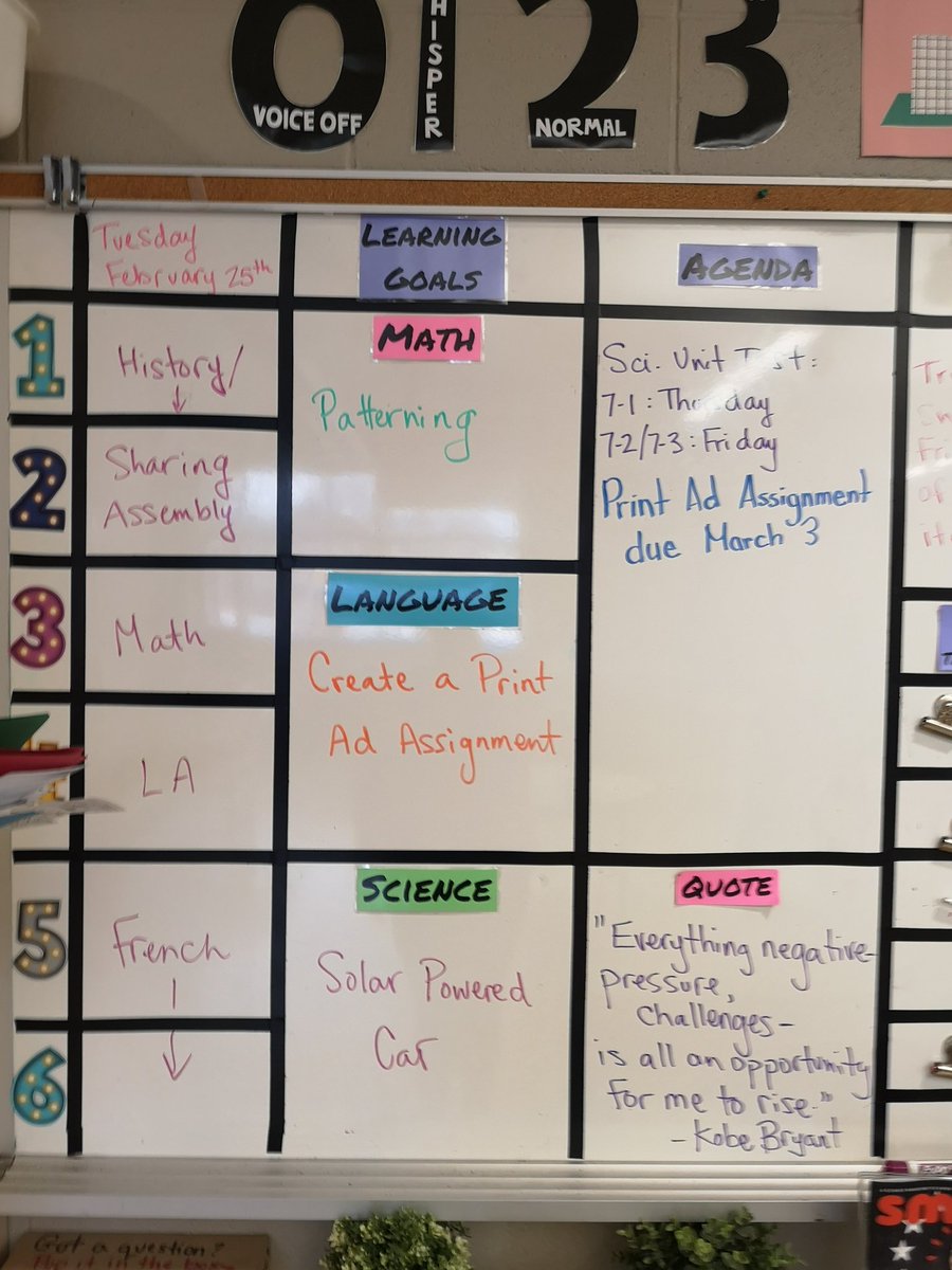 MsWilsonMapleG1's tweet image. 