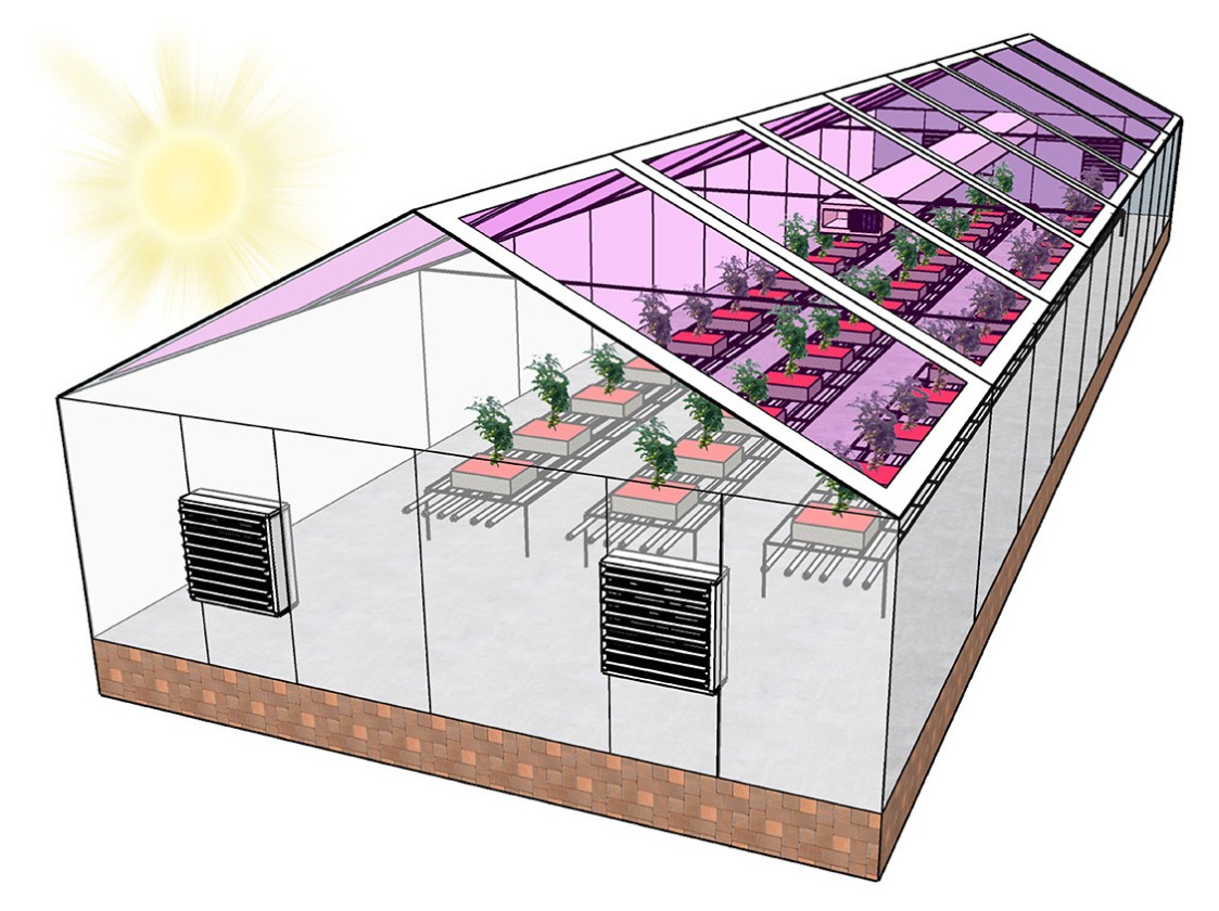 Light is a necessity for both #plants and #solarpanels. Researchers @NCstate have shown that semi-transparent #solarcells built into the roof panels of greenhouses can offset a facility’s energy needs making it cheaper to #growlocal &amp; #growsustainably.

bit.ly/37FFN9z