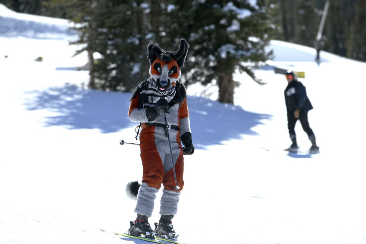 ShaleShep's tweet photo. #fsw2020 was a blast! :D so sunny and so much good snow with many great animals <3 @furryskiweekend <3 https://t.co/cWbVwdB5eM