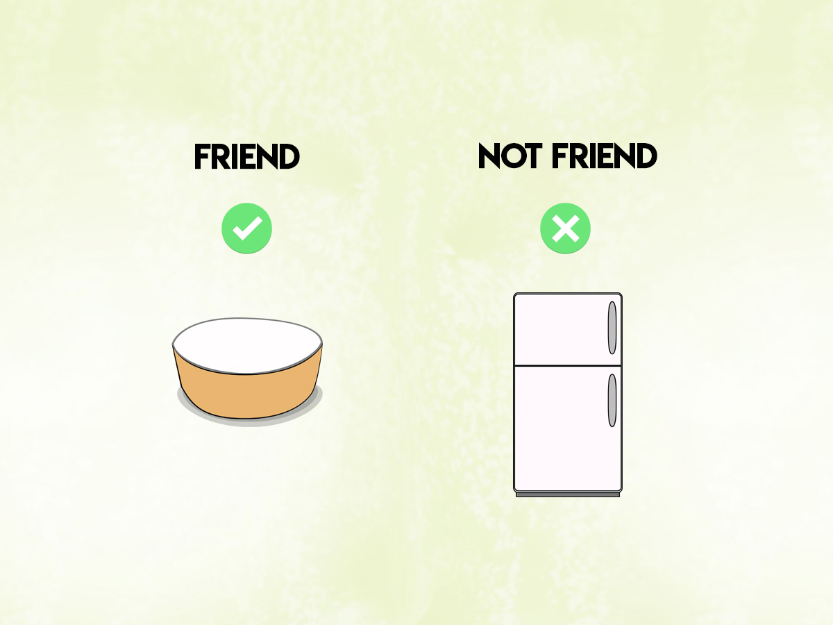 EnzedExotics's tweet image. Here in #NewZealand the hot summer just keeps on rollin' on, so we thought this tip might be timely! Don't forget that Kiwano do not like the cold. Kiwano have a fantastic shelf life at room temperature, but will degrade if placed in a chiller or fridge.