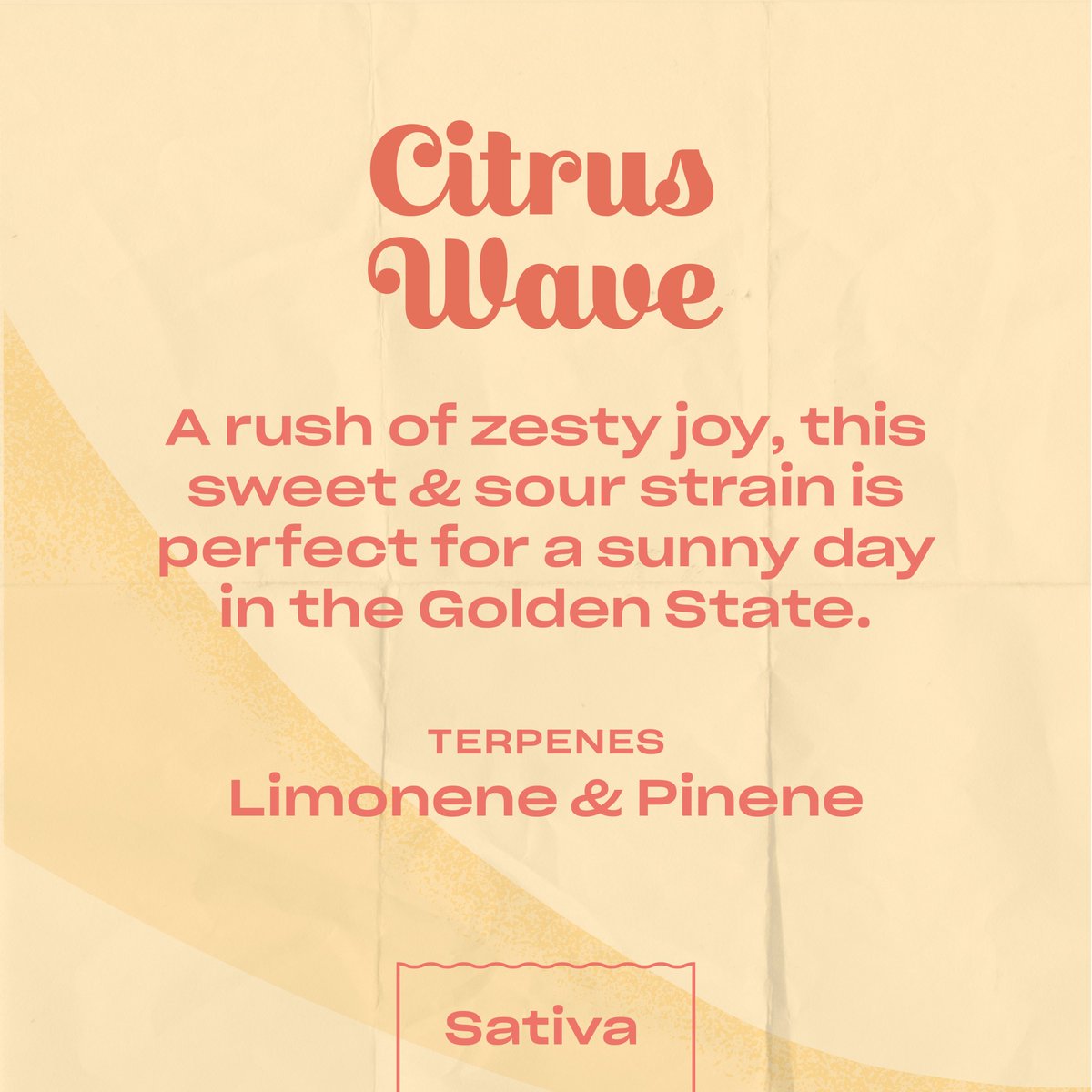splash deeper into citrus wave with us for a powerfully happy high 🍊💨