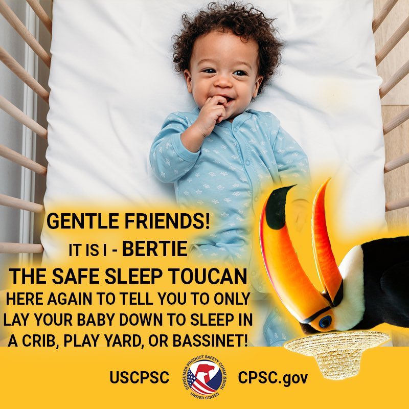 A baby lying safely in a crib next to a toucan in a hat. The text reads. Gentle friends it is I Bertie the safe sleep toucan. Here again to tell you to only lay your baby down to sleep in a crib play yard or bassinet.