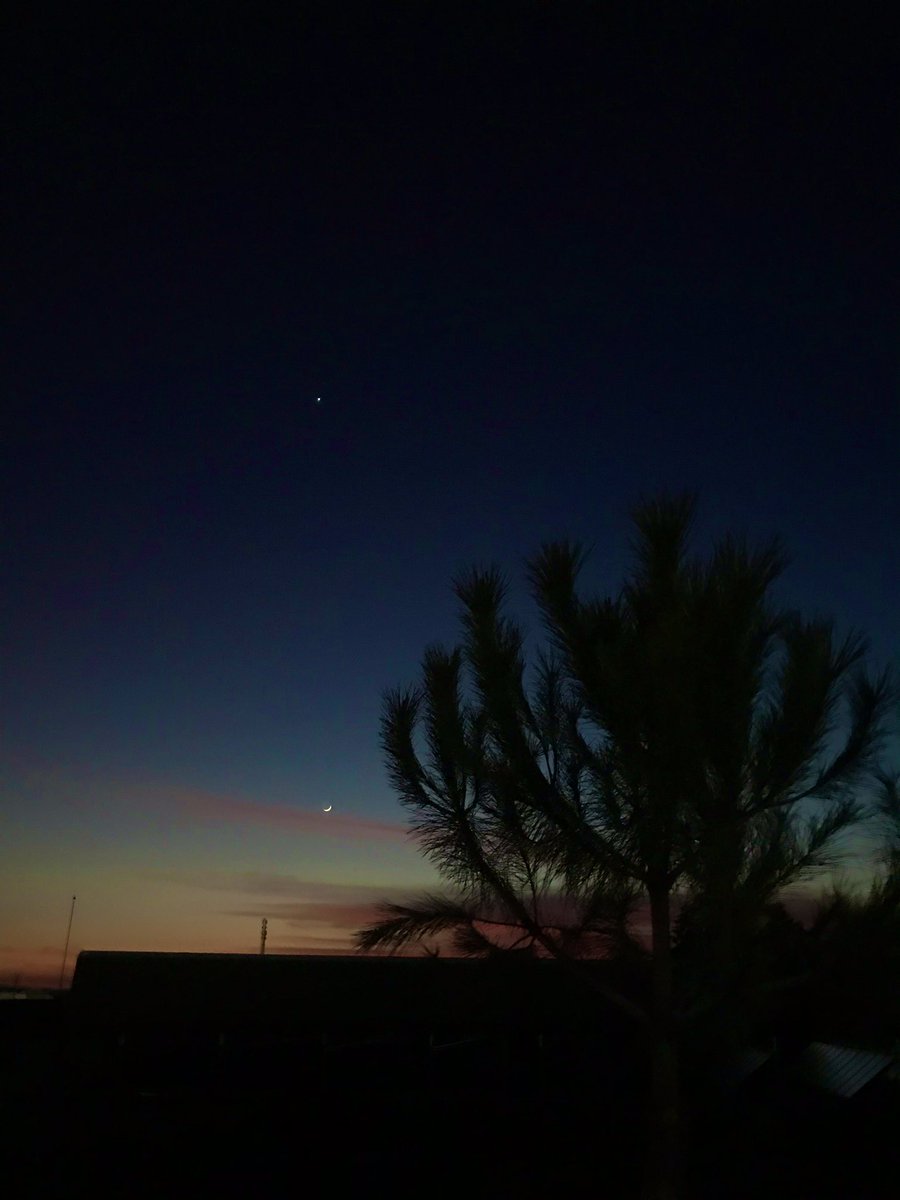 enes (@enzsimsek) on Twitter photo 